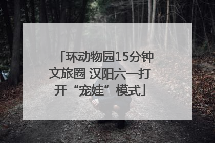 环动物园15分钟文旅圈 汉阳六一打开“宠娃”模式