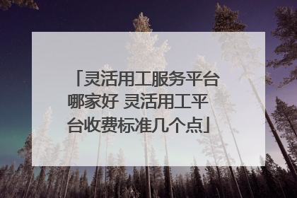 灵活用工服务平台哪家好 灵活用工平台收费标准几个点