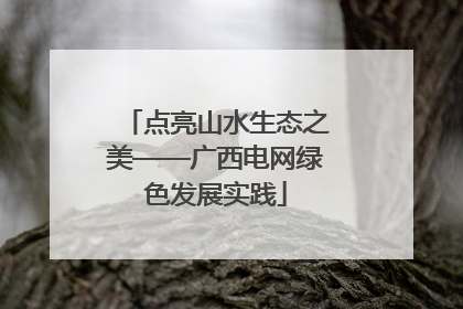 点亮山水生态之美——广西电网绿色发展实践