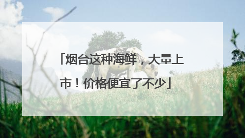 烟台这种海鲜，大量上市！价格便宜了不少