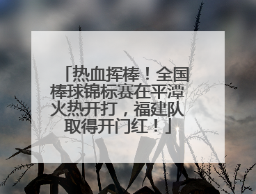 热血挥棒！全国棒球锦标赛在平潭火热开打，福建队取得开门红！