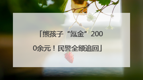 熊孩子“氪金”2000余元！民警全额追回