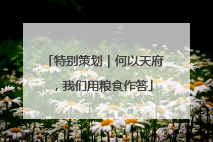 特别策划｜何以天府，我们用粮食作答