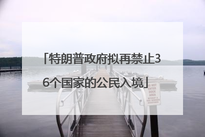 特朗普政府拟再禁止36个国家的公民入境