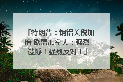 特朗普：钢铝关税加倍 欧盟加拿大：强烈遗憾！强烈反对！