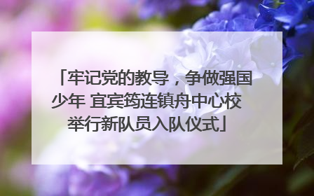 牢记党的教导，争做强国少年 宜宾筠连镇舟中心校举行新队员入队仪式