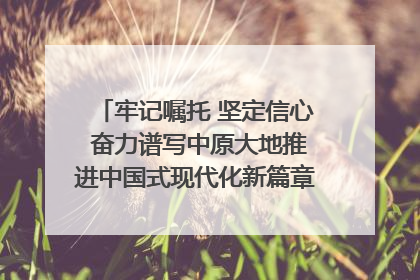 牢记嘱托 坚定信心 奋力谱写中原大地推进中国式现代化新篇章（六）河南绘就“行走河南·读懂中国”新画卷丨牢记嘱托谱新篇