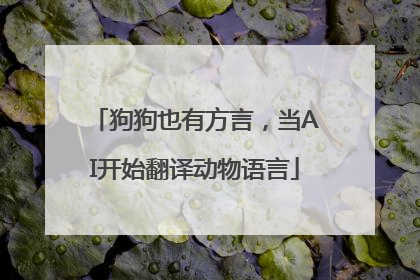狗狗也有方言，当AI开始翻译动物语言
