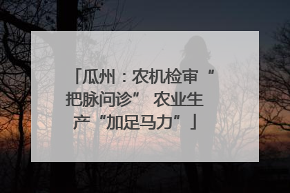 瓜州：农机检审“把脉问诊” 农业生产“加足马力”