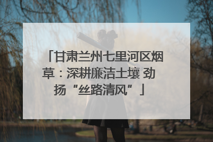 甘肃兰州七里河区烟草：深耕廉洁土壤 劲扬“丝路清风”