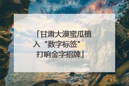 甘肃大漠蜜瓜植入“数字标签” 打响金字招牌