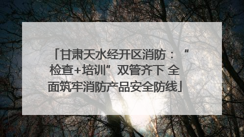 甘肃天水经开区消防：“检查+培训”双管齐下 全面筑牢消防产品安全防线