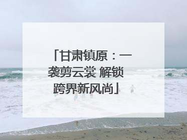 甘肃镇原：一袭剪云裳 解锁跨界新风尚