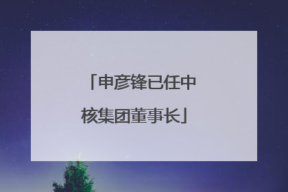 申彦锋已任中核集团董事长