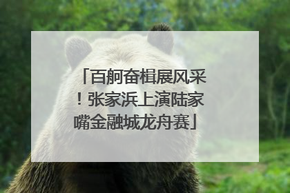 百舸奋楫展风采！张家浜上演陆家嘴金融城龙舟赛