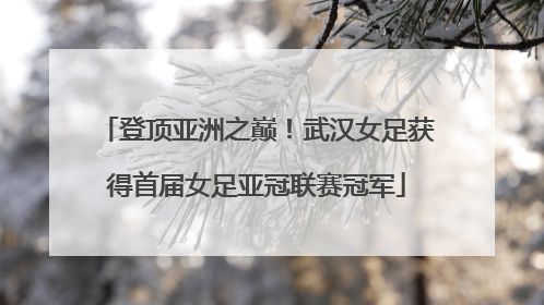 登顶亚洲之巅！武汉女足获得首届女足亚冠联赛冠军