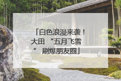 白色浪漫来袭！大田 “五月飞雪” 刷爆朋友圈