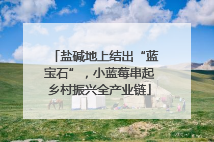 盐碱地上结出“蓝宝石”，小蓝莓串起乡村振兴全产业链