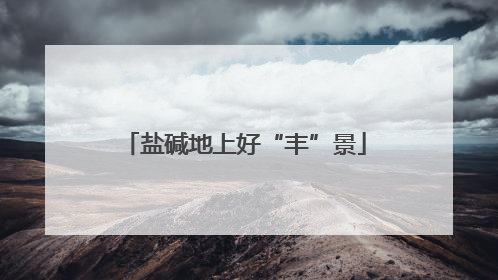 盐碱地上好“丰”景