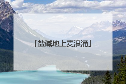 盐碱地上麦浪涌