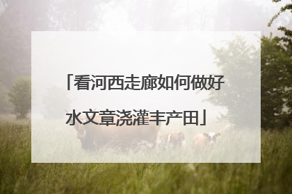 看河西走廊如何做好水文章浇灌丰产田