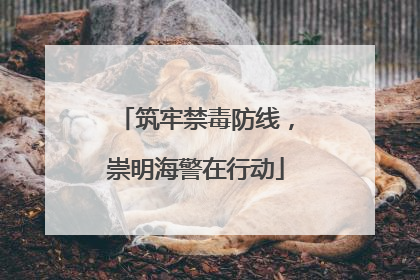 筑牢禁毒防线，崇明海警在行动