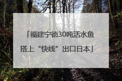 福建宁德30吨活水鱼搭上“快线”出口日本