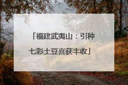 福建武夷山：引种七彩土豆喜获丰收