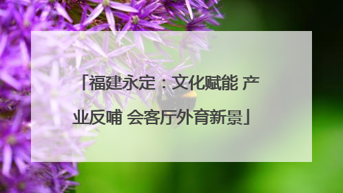 福建永定：文化赋能 产业反哺 会客厅外育新景