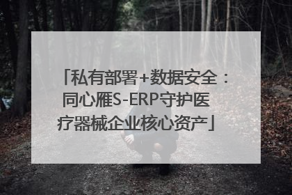 私有部署+数据安全：同心雁S-ERP守护医疗器械企业核心资产