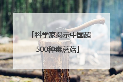 科学家揭示中国超500种毒蘑菇