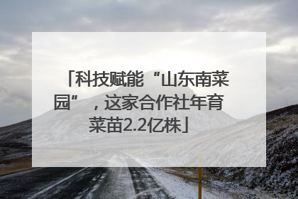 科技赋能“山东南菜园”，这家合作社年育菜苗2.2亿株