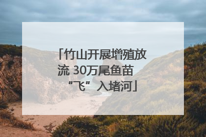 竹山开展增殖放流 30万尾鱼苗“飞”入堵河
