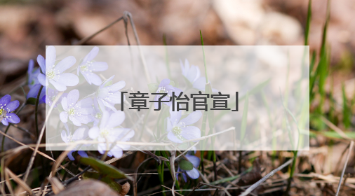 章子怡官宣