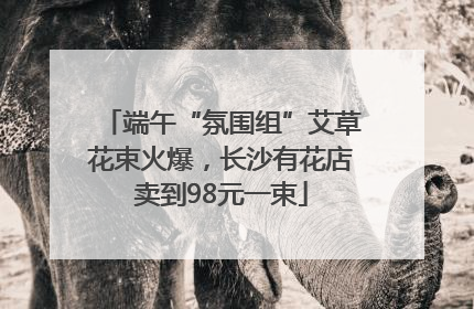 端午“氛围组”艾草花束火爆，长沙有花店卖到98元一束