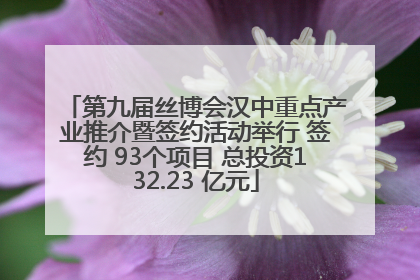 第九届丝博会汉中重点产业推介暨签约活动举行 签约 93个项目 总投资132.23 亿元