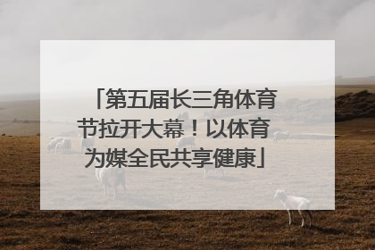 第五届长三角体育节拉开大幕！以体育为媒全民共享健康