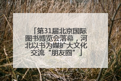 第31届北京国际图书博览会落幕，河北以书为媒扩大文化交流“朋友圈”