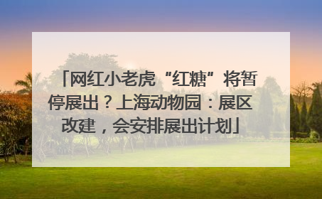 网红小老虎“红糖”将暂停展出？上海动物园：展区改建，会安排展出计划
