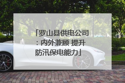 罗山县供电公司：内外兼顾 提升防汛保电能力