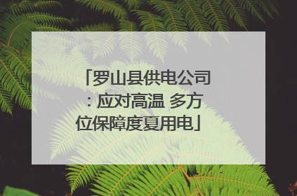 罗山县供电公司：应对高温 多方位保障度夏用电