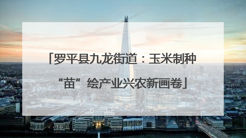 罗平县九龙街道：玉米制种“苗”绘产业兴农新画卷