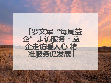 罗文军“每周益企”走访服务：益企走访暖人心 精准服务促发展