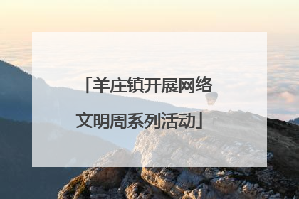 羊庄镇开展网络文明周系列活动