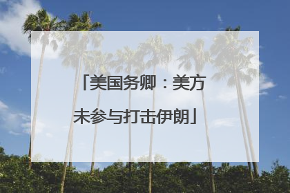 美国务卿：美方未参与打击伊朗