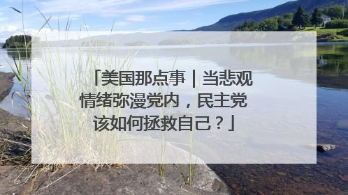 美国那点事｜当悲观情绪弥漫党内，民主党该如何拯救自己？