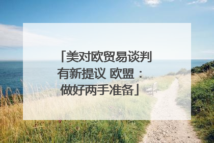 美对欧贸易谈判有新提议 欧盟：做好两手准备