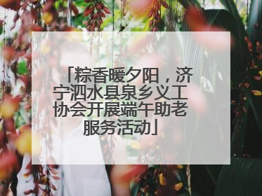 粽香暖夕阳，济宁泗水县泉乡义工协会开展端午助老服务活动