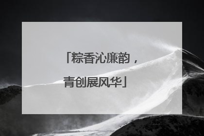 粽香沁廉韵，青创展风华