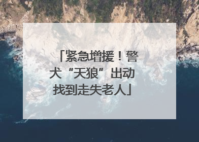 紧急增援！警犬“天狼”出动找到走失老人
